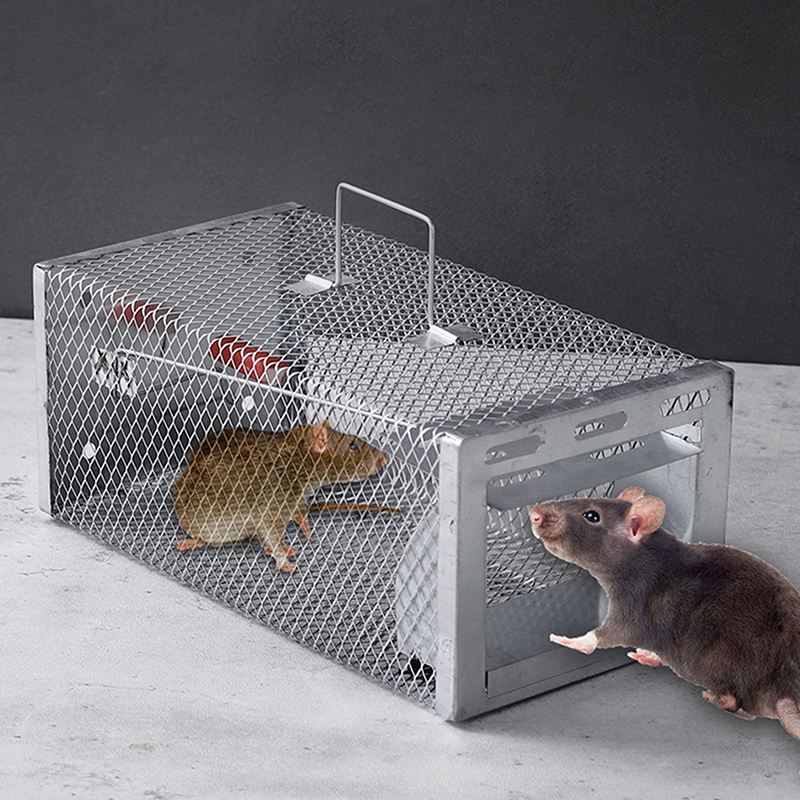 Board Game Quacks - Multi-Catch Rodent Mouse Trap Rat Trap