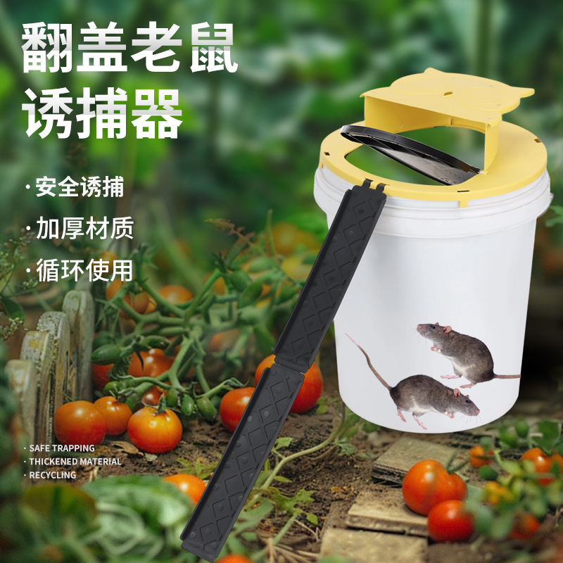 Board Game Quacks - Indoor Outdoor Reusable Intelligent Mouse Trap