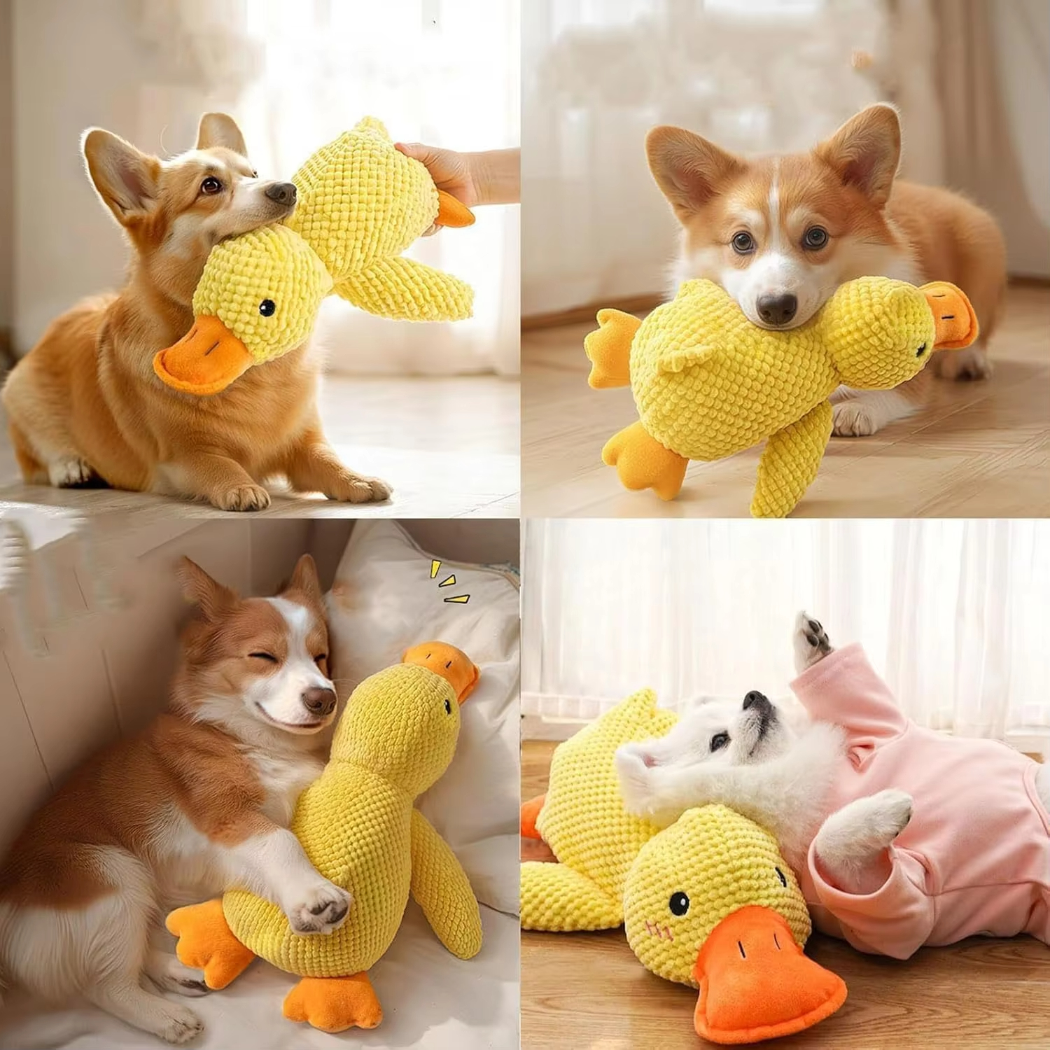Duck Dog Toy Plush Chew Resist - Board Game Quacks review and price