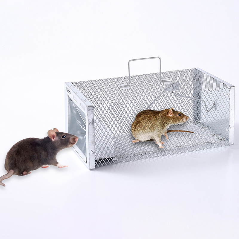 Multi-Catch Rodent Mouse Trap  - Board Game Quacks review and price
