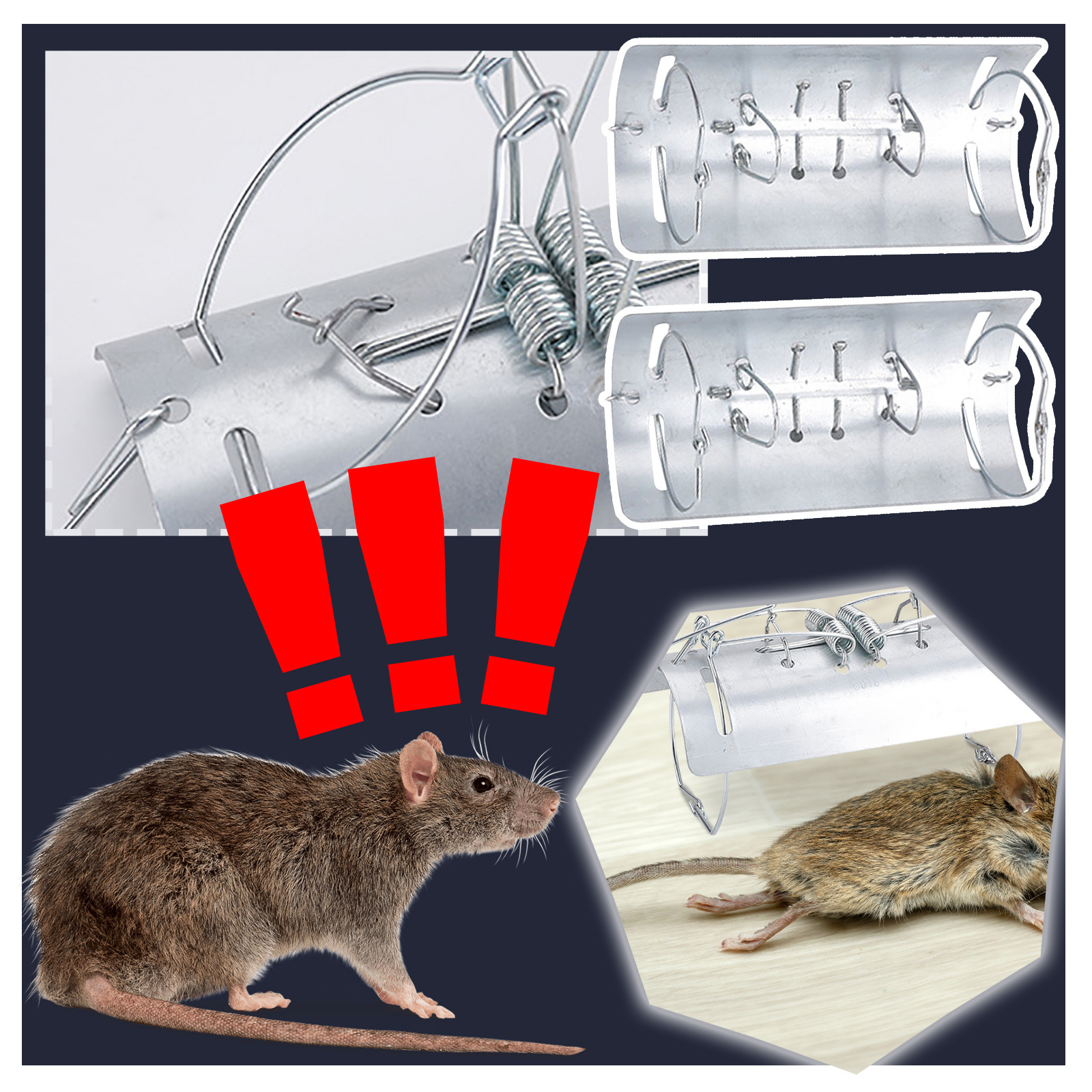 1pc Mole Trap Tunnel,Mole Clip - Board Game Quacks review and price