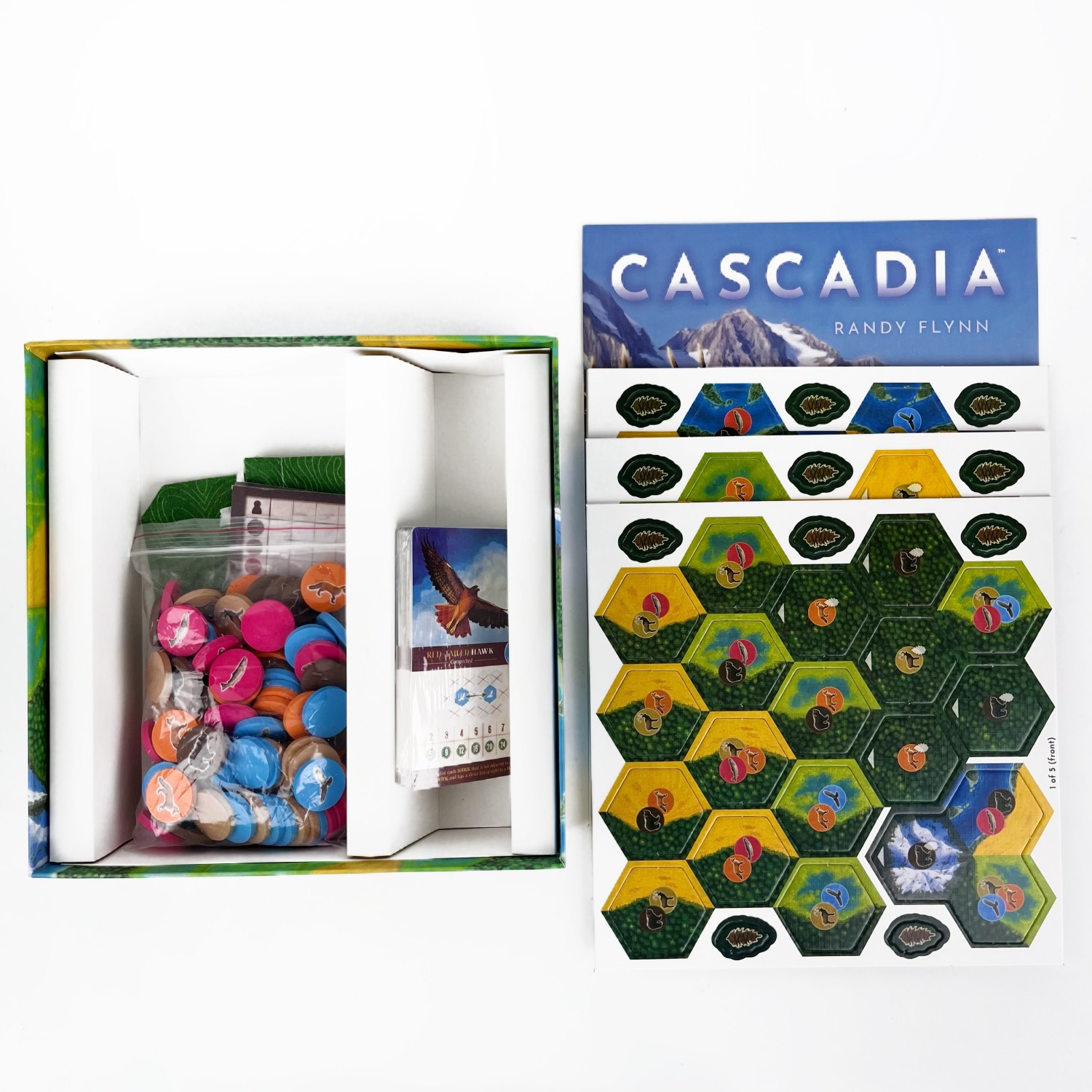 Cascadia Boardgame | Strategic - Board Game Azul review and price