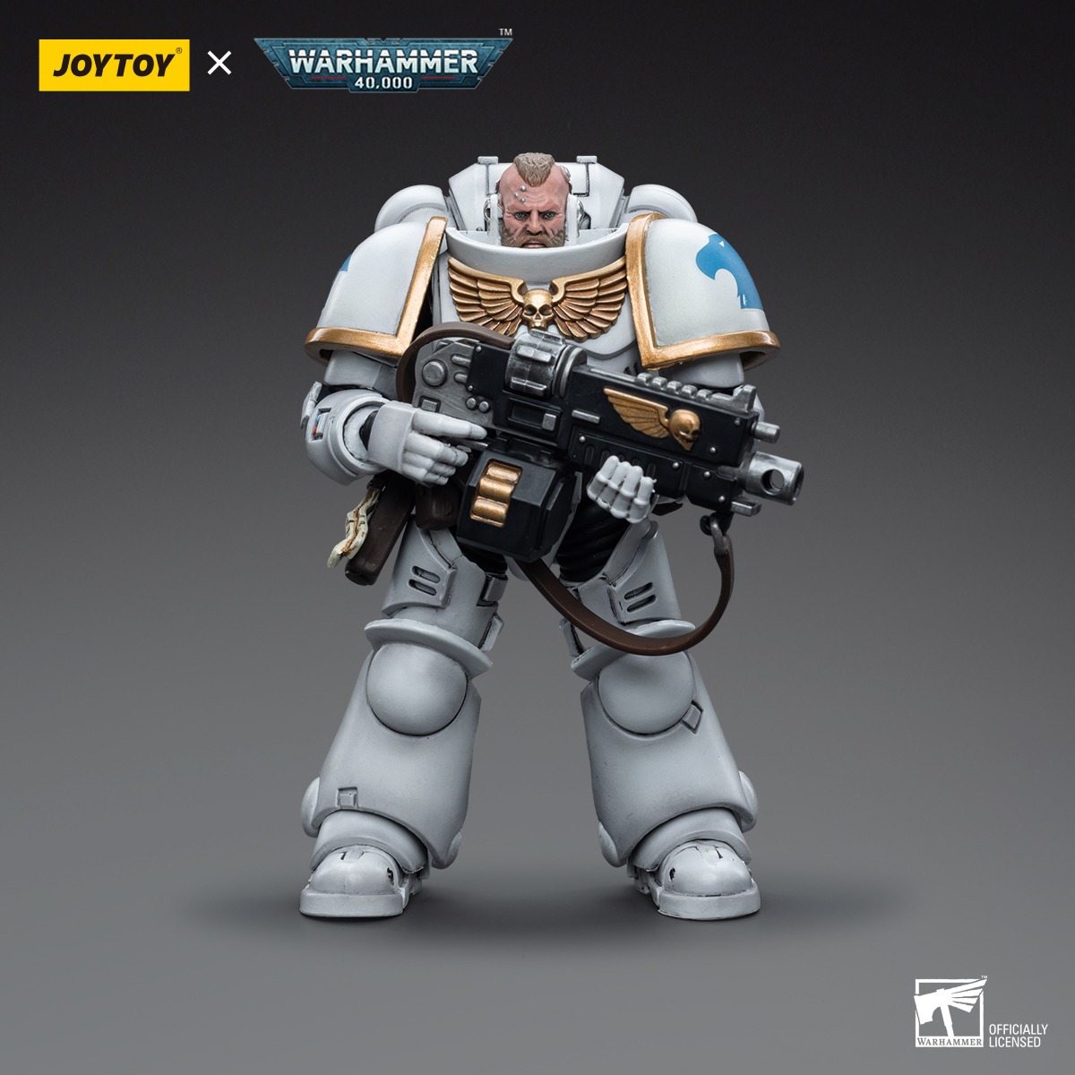 【Accessories】JOYTOY Warhammer  - Board Game Warhammer 40K review and price